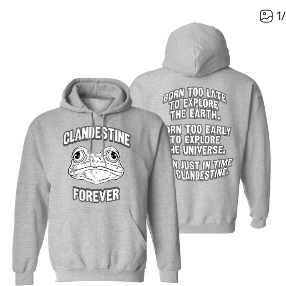 Gray Frog Hoodie